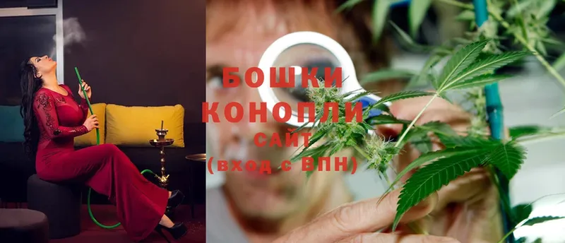 Конопля White Widow  хочу наркоту  Мичуринск 